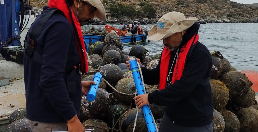 Científicos latinoamericanos alertan a líderes políticos en la COP30: La acidificación oceánica amenaza la seguridad alimentaria y economías costeras de la región