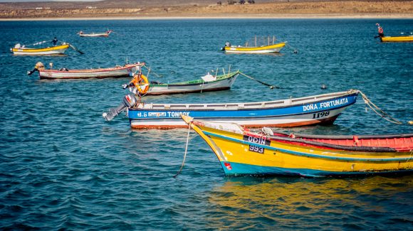 Centro Científico CEAZA plantea la necesidad de avanzar en sistema de monitoreo de “marea roja” para proteger a la pesca y acuicultura