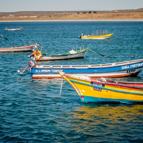 Centro Científico CEAZA plantea la necesidad de avanzar en sistema de monitoreo de “marea roja” para proteger a la pesca y acuicultura