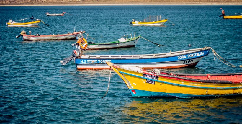 Centro Científico CEAZA plantea la necesidad de avanzar en sistema de monitoreo de “marea roja” para proteger a la pesca y acuicultura Centro Científico CEAZA plantea la necesidad de avanzar en sistema de monitoreo de “marea roja” para proteger a la pesca y acuicultura