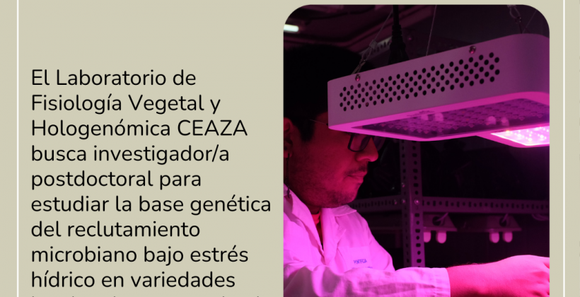 CEAZA busca investigador/a postdoctoral en genética vegetal y resiliencia a la sequía