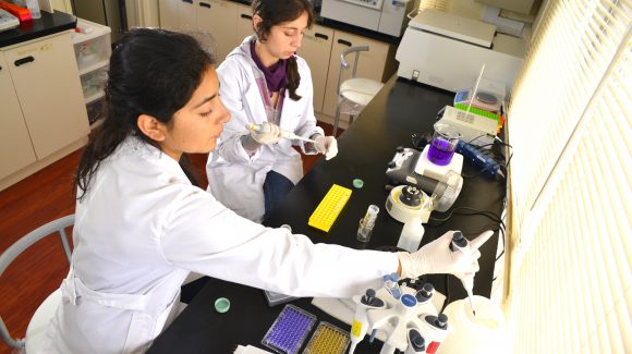 Centro de Educación Ambiental CEAZA realizará conversatorio con charlas tipo “TED” en el Día Internacional de la Mujer y la Niña en la Ciencia