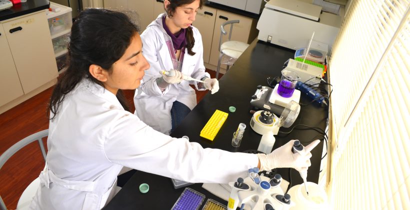 Centro de Educación Ambiental CEAZA realizará conversatorio con charlas tipo “TED” en el Día Internacional de la Mujer y la Niña en la Ciencia