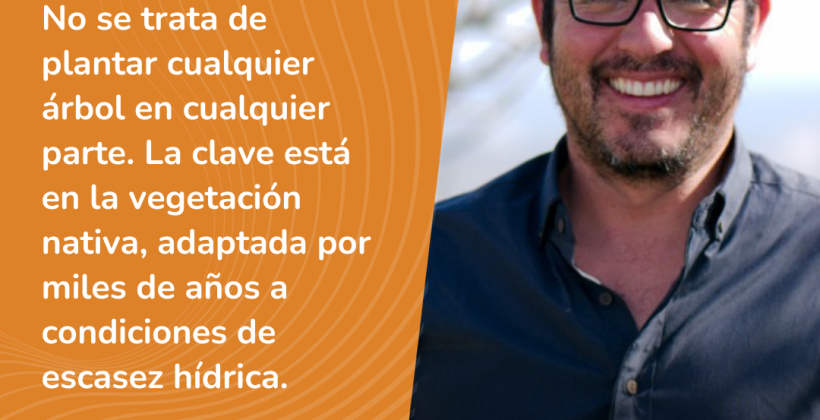 Columna científica – Áreas verdes: la infraestructura invisible que enfría nuestras ciudades