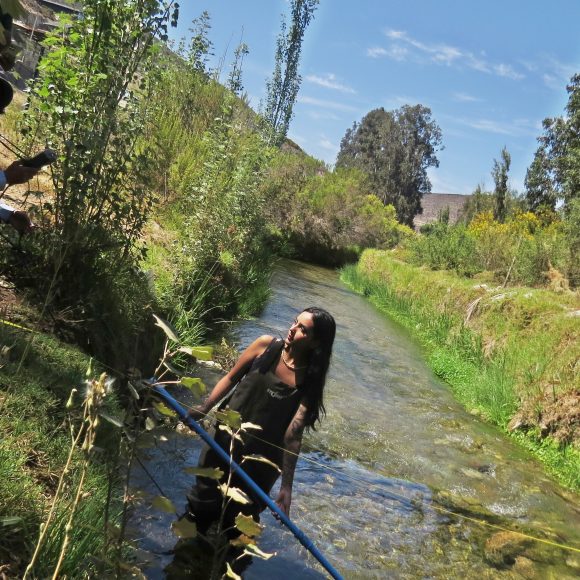 Sin el canal Bellavista, el humedal El Culebrón de la Región de Coquimbo podría desaparecer