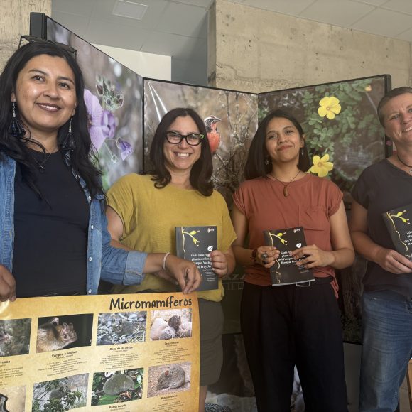 En Parque Urbano Cerro Grande:  Ciencia y arte se unieron para conmemorar el Día de la Mujer y la Niña en la Ciencia