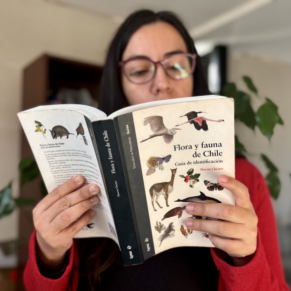 En el mes del libro: “Caja viajera” llega a Cerro Grande con títulos sobre sustentabilidad