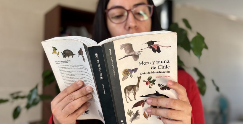 En el mes del libro: “Caja viajera” llega a Cerro Grande con títulos sobre sustentabilidad