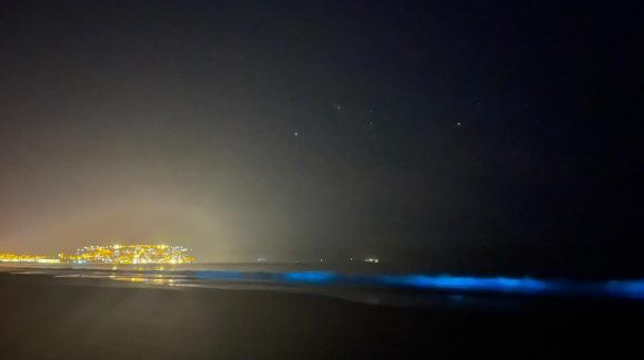 La costa de Guanaqueros sorprende con fenómeno natural de bioluminiscencia