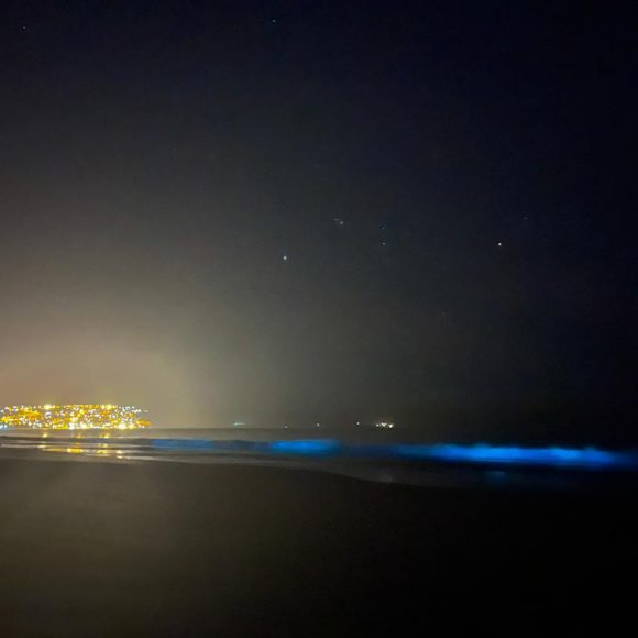 La costa de Guanaqueros sorprende con fenómeno natural de bioluminiscencia