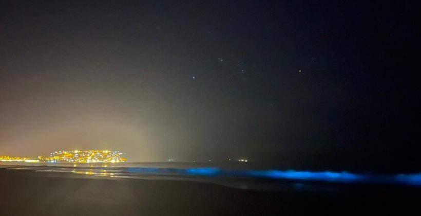 La costa de Guanaqueros sorprende con fenómeno natural de bioluminiscencia
